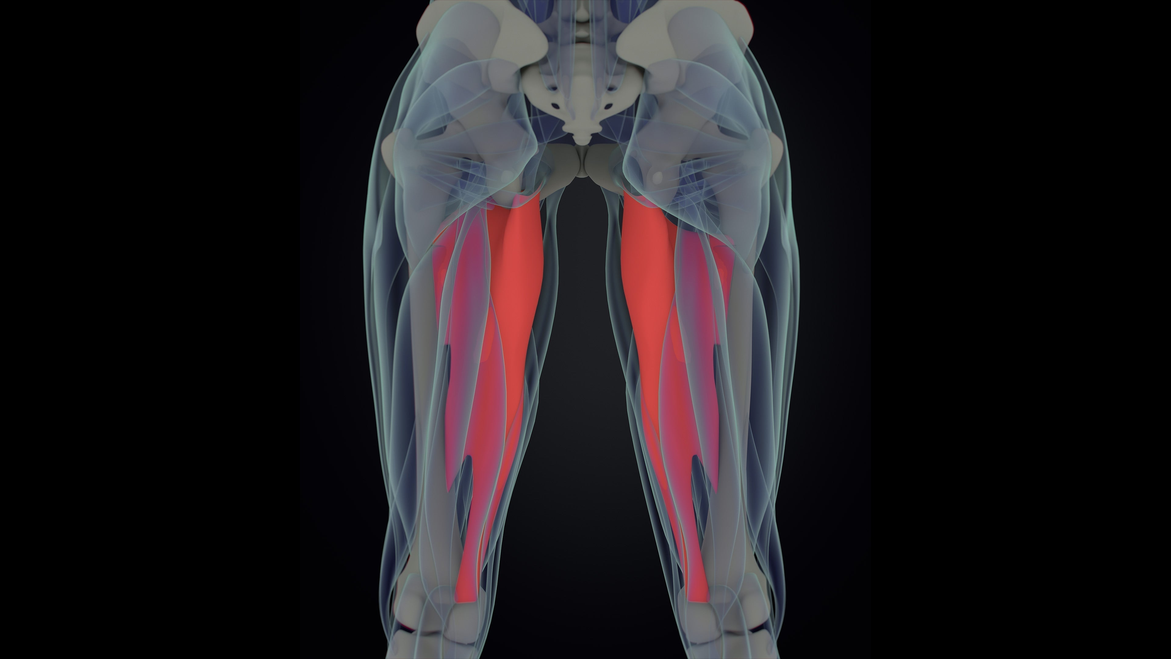 Adductor Injuries in Sport/Football