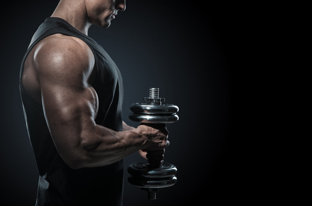 Hypertrophy – To Gain Or Not To Gain?